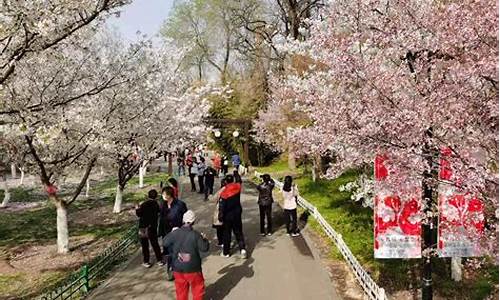 玉渊潭公园樱花节年票能用吗_玉渊潭公园樱花节年票能用吗现在