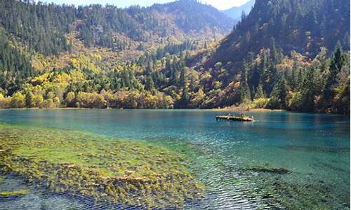 九寨沟介绍_九寨沟介绍简短