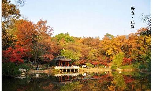 栖霞山风景区门票_栖霞山风景区门票多少钱