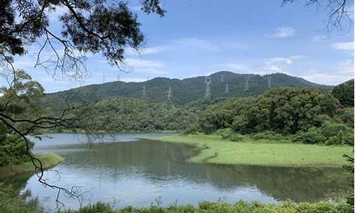 厦门天竺山森林公园门票_厦门天竺山森林公园门票多少钱