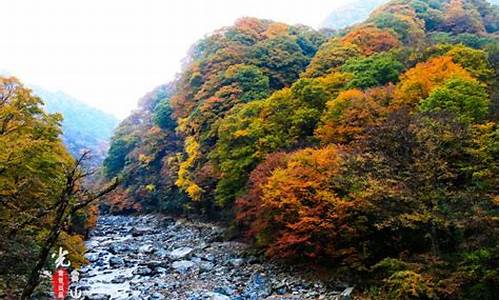 巴中光雾山景点介绍_巴中光雾山景点介绍图片